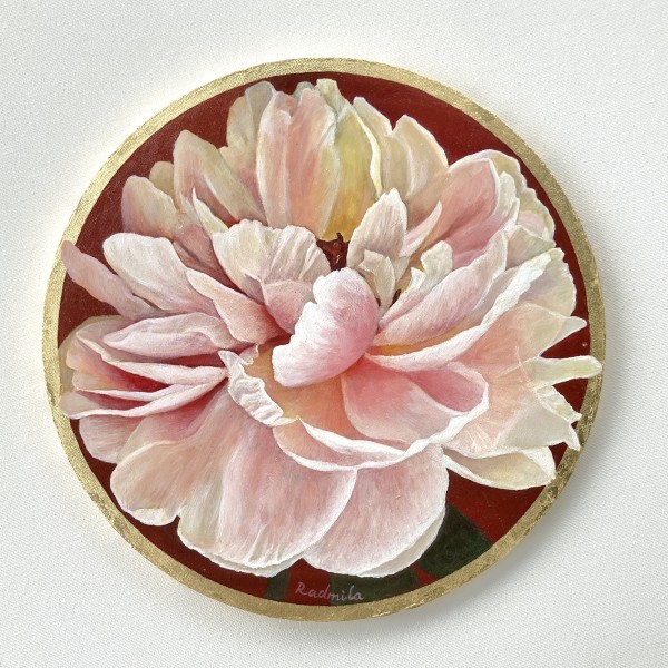 Peonijas elegance