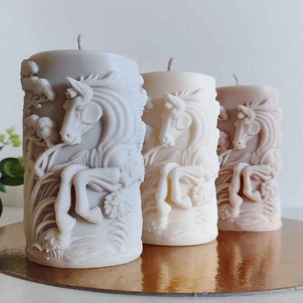 Sojas vaska svece ZIRGS