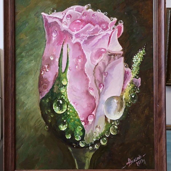 Roze