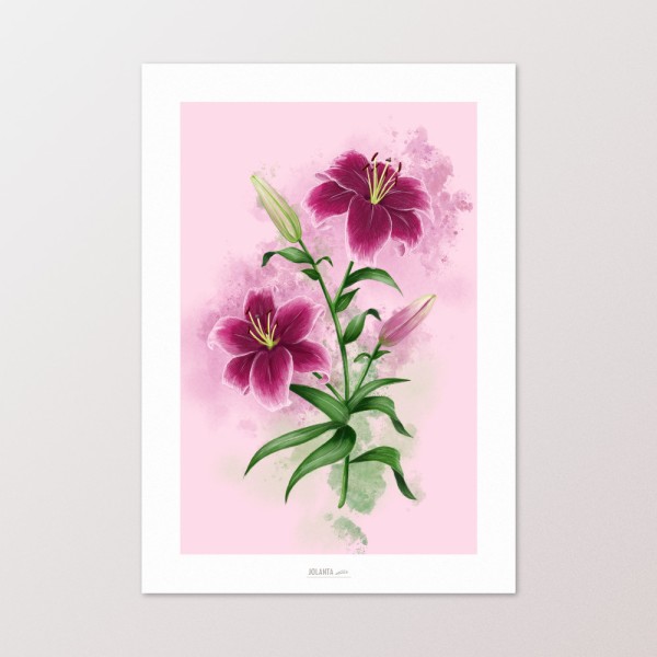 Kartīte Lilija / Peonija / Roze