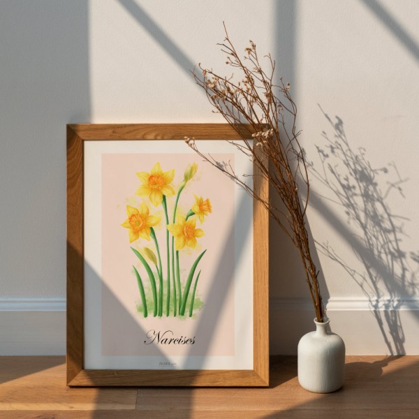 Prints Narcises / Tulpes / Hiacintes