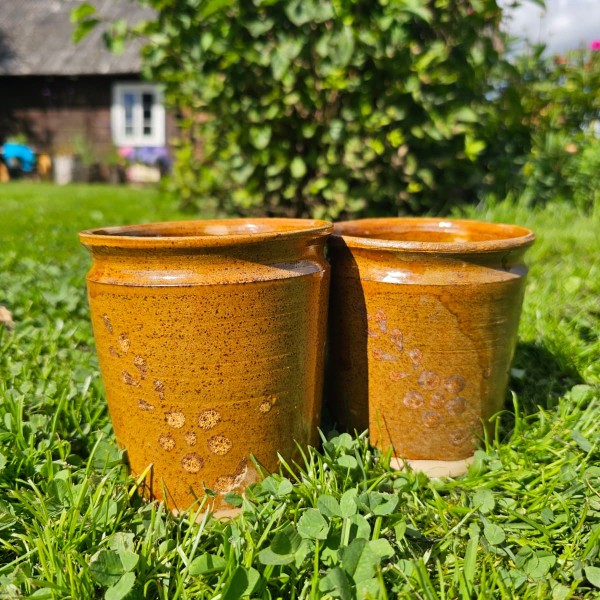 Podiņi, Rucava.