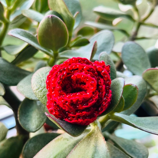 Brošiņa “Rozīte”