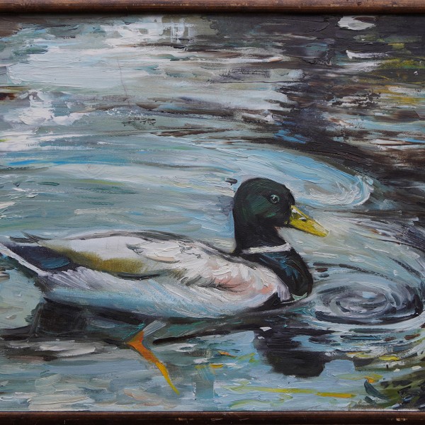 Just a duck