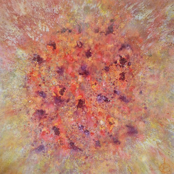 Siltie vasaras ziedi