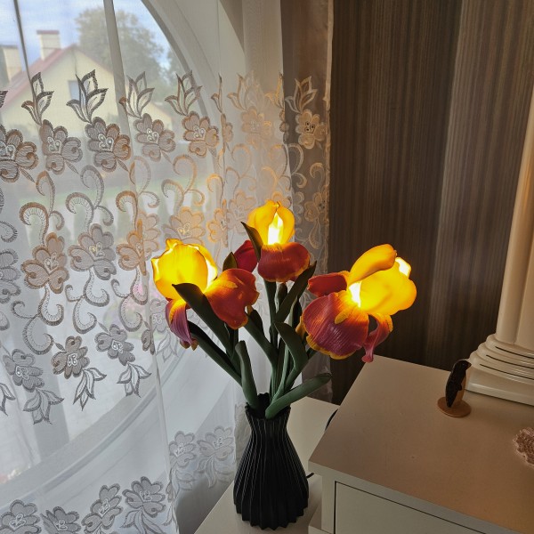 Naktslampiņa "ĪRISI"