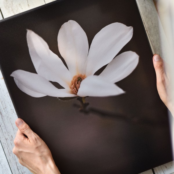 Magnolija, foto kanva 30x40cm