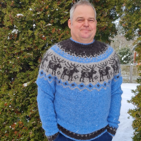 Islandes vilnas džemperis - ar briedīšiem, šis tiek adīts uz pasūtījumu