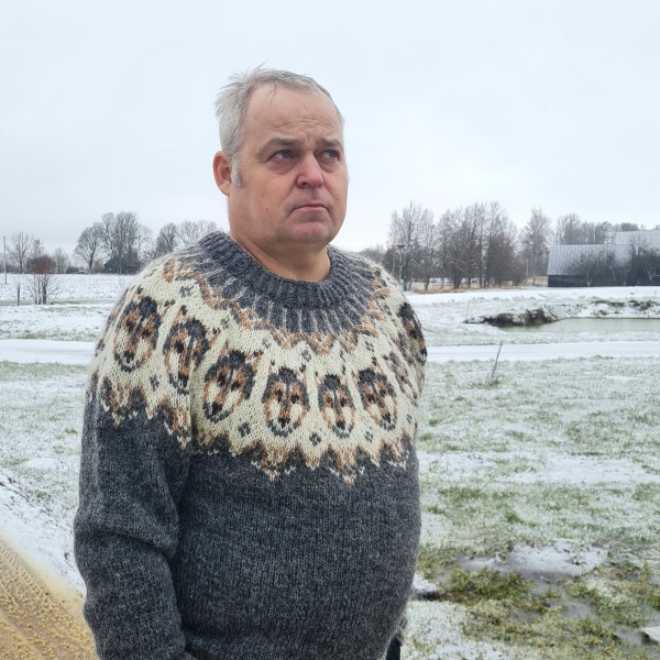 Islandes vilnas džemperis Vilciņi xl