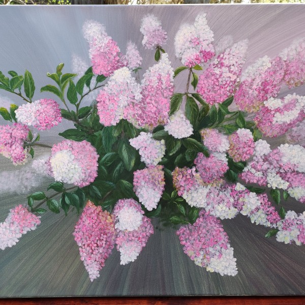 Hortenzijas