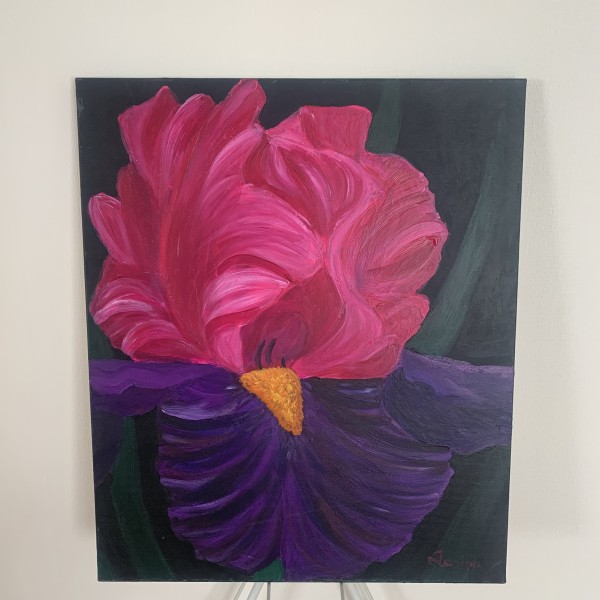 Īrisas zieds 50x60