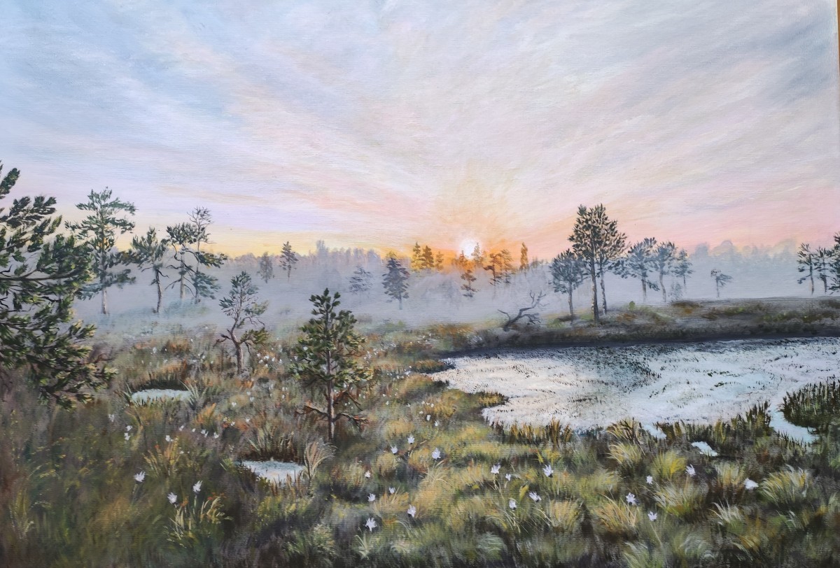 15.Kemeru purvs_IntaJakovleva.jpg